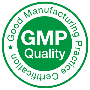 gmp-quality-logo-029EAE8B9B-seeklogo.com_